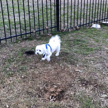 Dog Park at Lakeside Park photo 2